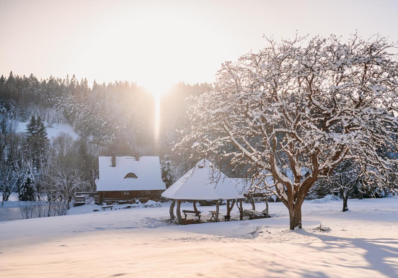 Przystanek Ropienka Lesniczowka Villa ภายนอก รูปภาพ